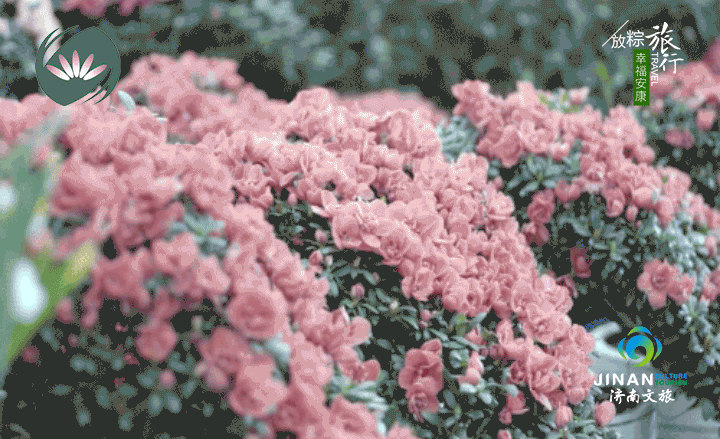 動圖5.gif