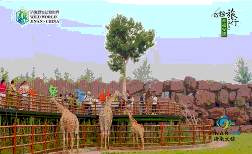 動圖1.gif